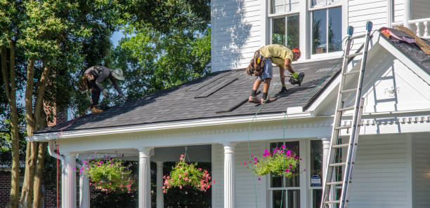 Best Roof Moss and Algae Removal  in Lewiston, ME